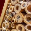 BeeCasa Fine Reed Tubes – Natural Nesting Aids, 11 cm view 4