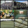 Refue Bundeswehr Camouflage Net, Sunshade, Hunting Sniper Woodland Net view 3