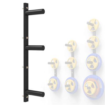 Wall-Mounted Weight Plate Rack, 50 mm, 3 Pegs