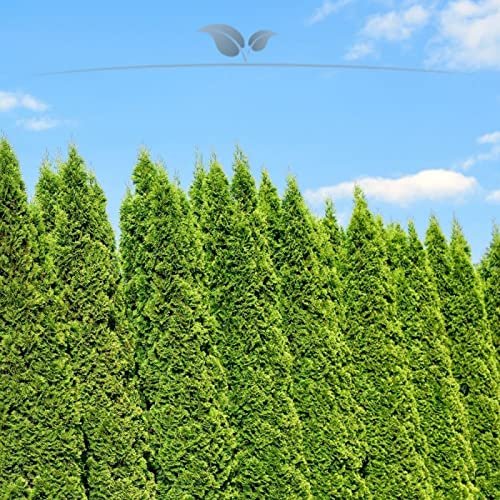 Gardline – Thuja 'Smaragd' 140–160 cm, 3–200 arborvitae, evergreen, winter-hardy, privacy screen – 58 pcs. (approx. 23 m)