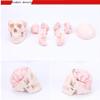 LBYLYH Educational Skull Model, 8-Part Cerebral Artery Model for Adults view 2