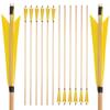 SHARROW 12-Piece 31-Inch Wooden Arrows with 5-Inch Natural Feathers, Yellow view 1