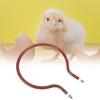 300 W Round Incubator Heating Element Replacement view 2