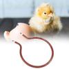 300 W Round Incubator Heating Element Replacement view 4