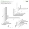 HEXIM Unequal-Leg PVC Angle Profile, White, 120 × 25 mm view 3