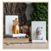 Panalaka Creative Fox-Squirrel Resin Bookends, White view 3