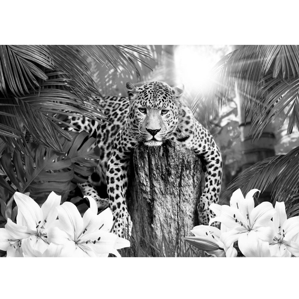 Runa Art Leopard Africa Photo Wallpaper 352 x 250 cm, Nonwoven, Black and White