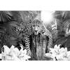 Runa Art Leopard Africa Photo Wallpaper 352 x 250 cm, Nonwoven, Black and White view 1