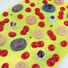 LBYLYH Human Blood Cell Model, 2,000× Magnification view 3