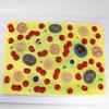 LBYLYH Human Blood Cell Model, 2,000× Magnification view 4