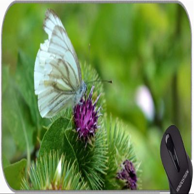 YENDOSTEEN Large Gaming Mouse Pad, Flower Butterfly Insect Wing Wildlife Bug Design, Bright Mouse Pad with Stitched Edges
