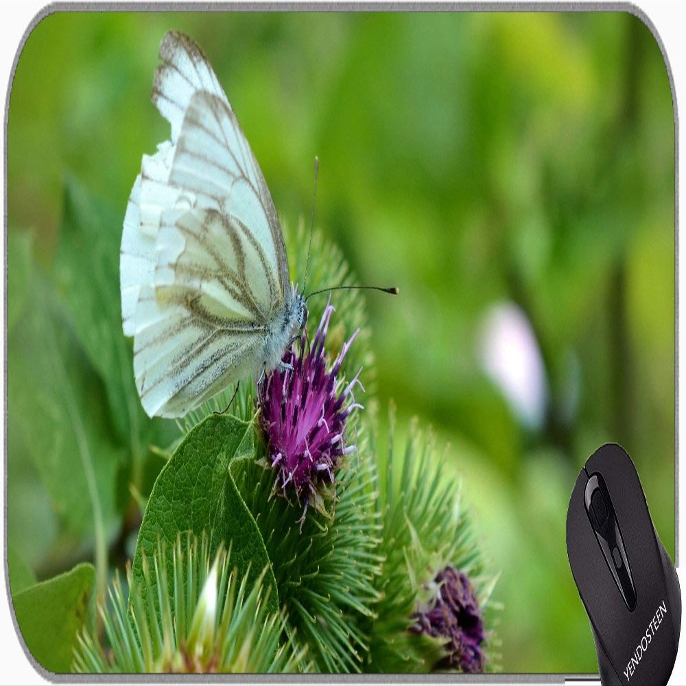 YENDOSTEEN Large Gaming Mouse Pad, Flower Butterfly Insect Wing Wildlife Bug Design, Bright Mouse Pad with Stitched Edges