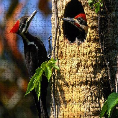 LHJOY 1,000-Piece Bird Animal Puzzle, Birthday Gift, 75 x 50 cm
