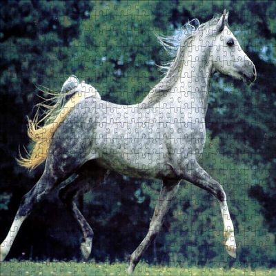 LHJOY 3D Puzzle for Kids, 1,000 Pieces, Horse, Animal Birthday Gift, 29.5 x 19.7 in