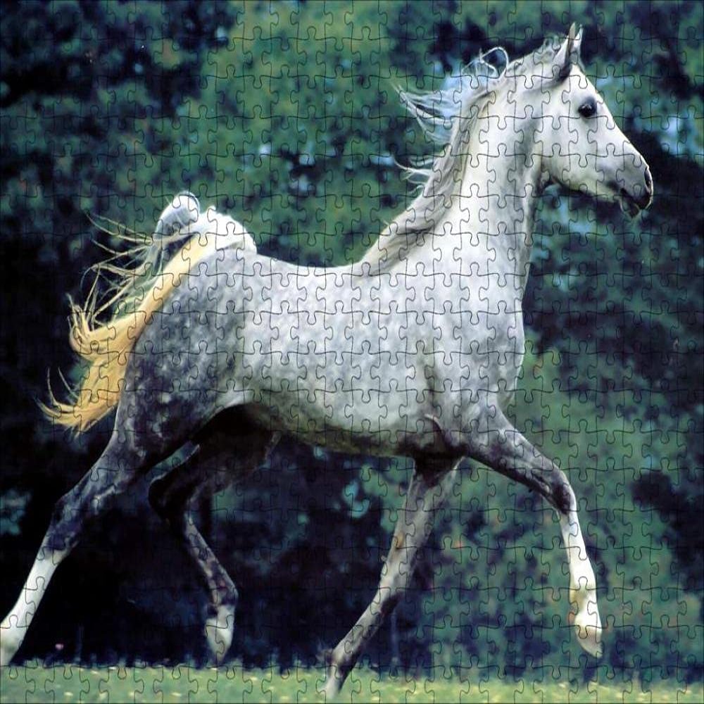 LHJOY 3D Puzzle for Kids, 1,000 Pieces, Horse, Animal Birthday Gift, 29.5 x 19.7 in