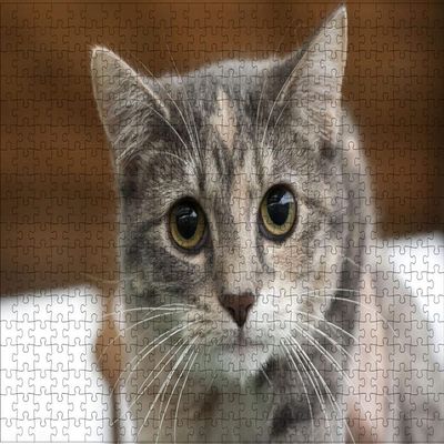 LHJOY 3D Cat Puzzle for Girls, 1,000 Pieces, 75 x 50 cm