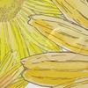 MONTOJ Watercolor Sunflowers Shower Curtain with Hooks, 60 x 72 in view 4