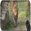 YENDOSTEEN Large Gaming Mouse Pad, Leopard Wildlife XXL Mousepad view 1