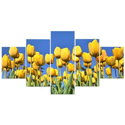 MPPSU Yellow Tulip 5-Piece Framed Canvas Wall Art, 150 × 80 cm