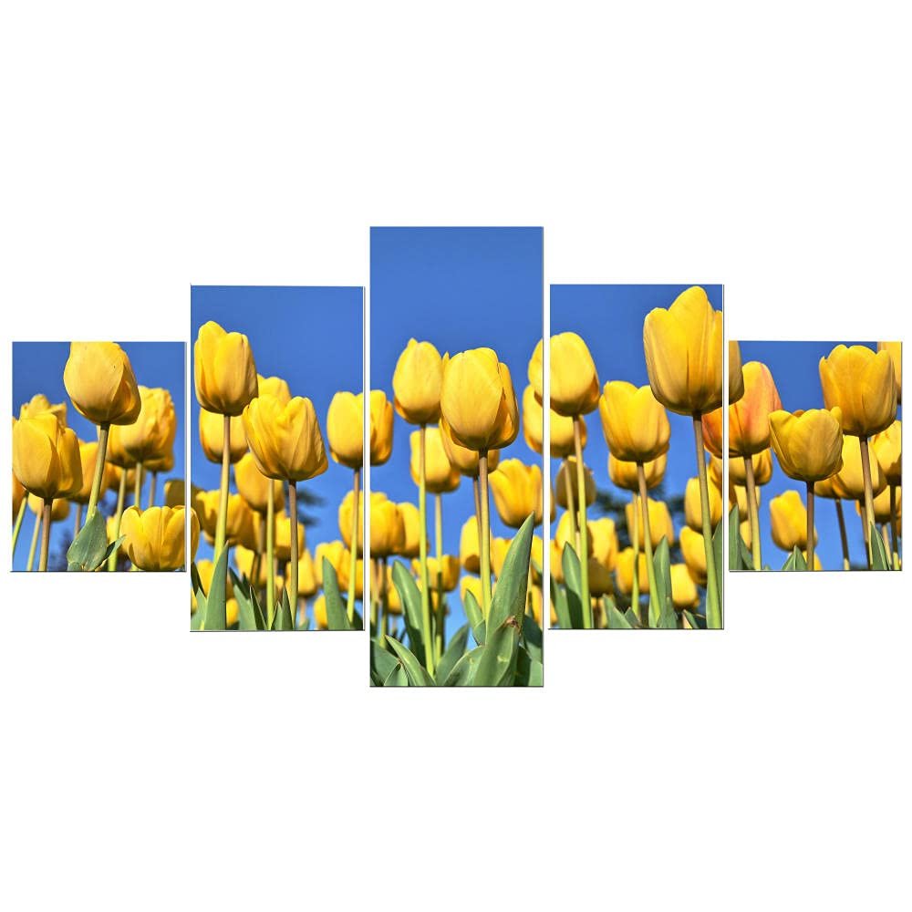 MPPSU Yellow Tulip 5-Piece Framed Canvas Wall Art, 150 × 80 cm