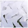 bandezid Camouflage Net, Green and White, 10 x 15 m (33 x 49 ft) view 3