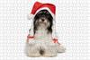 LHJOY Children's 3D Puzzle, 1,000 Pieces, Bichon Frise with a New Year's Hat, Birthday Gift, 75 x 50 cm view 1