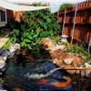 ZYFA Black HDPE Pond Liner, UV- and Weather-Resistant view 2