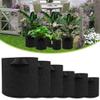 NSGJUYT Nonwoven Plant Grow Bag with Handles, Breathable Root Container, 10L view 3