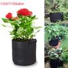 NSGJUYT Nonwoven Plant Grow Bag with Handles, Breathable Root Container, 10L view 4