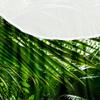Morbuy Round Elastic Tablecloth, 3D Rainforest Design, Waterproof, Washable, 100 cm view 4