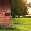 Gallagher Pasture Fence Energizer/Mains Energizer M1400 - Special Edition (230 V) - Electric Fence for Horses, Cattle, Sheep, Deer, Pigs, Wild Boar, Wolves, Goats and Foxes - Suitable for Pasture Fences up to view 3