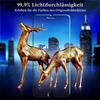MAYtobe 2-Pack Tempered Glass Screen Protectors for iPhone 8 Plus/7 Plus/6s Plus/6 Plus view 3