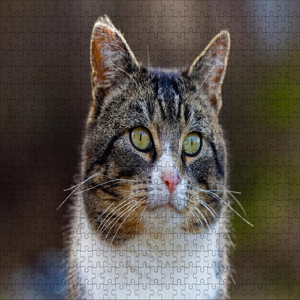 LHJOY 1000-Piece Cat Bokeh Jigsaw Puzzle for Adults, 75 x 50 cm