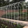 Weather-Resistant Metal Rose Arch with Removable Bases view 3