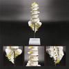 30 cm Human Lumbar Spine Skeleton Teaching Model view 2