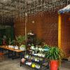 Handwoven Carbonized Bamboo Reed Roller Blind, 32 x 55 in view 3