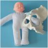 LBYLYH Female Pelvis Demonstration Model with Baby and Pelvic Birth Simulation view 1