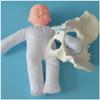 LBYLYH Female Pelvis Demonstration Model with Baby and Pelvic Birth Simulation view 2