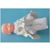 LBYLYH Female Pelvis Demonstration Model with Baby and Pelvic Birth Simulation view 4