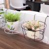 Yeehliny 3-Piece Iron Hanging Planter Holder Set, Black view 4