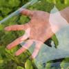 KOOEIN Clear PVC Tarp with Grommets, 0.35 mm, 400 g/m², 2.8 x 2 m view 2