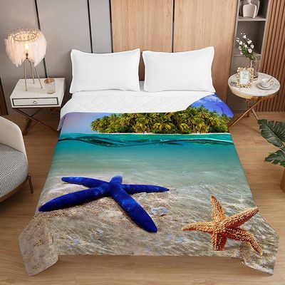 Surwin Quilted Bedspread for Double or Single Beds, Microfiber, Clear Water, 220 x 240 cm