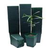 8 cm Square Plastic Pots for Succulents, Dark Green, 100-Pack view 1