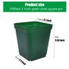8 cm Square Plastic Pots for Succulents, Dark Green, 100-Pack view 2