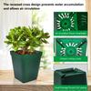 8 cm Square Plastic Pots for Succulents, Dark Green, 100-Pack view 4