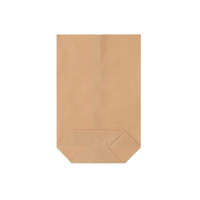 500 Brown Kraft Paper Square-Bottom Bags, 200 x 290 mm, 1,500 g Capacity | Fruit & Vegetable Bags | HUTNER