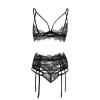 Good Luck Lace Cut-Out Bra and Panty Garter Set view 2