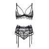 Good Luck Lace Cut-Out Bra and Panty Garter Set view 3