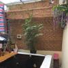 Privacy Screen Mats, Natural Bamboo Garden Fence Cover, Outdoor Slat Screening / 1.5 x 3 m view 2