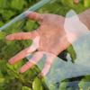 WUZMING Clear PVC Tarp with Eyelets, 0.35 mm, 1.2 x 3 m view 4